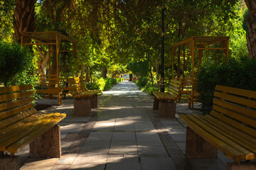 Fototapeta premium Aswan Botanical Garden, home to thousands of birds and many exotic plants imported from many parts of the world , El Nabatat Island on west bank of Nile river, opposite to Aswan, Egypt