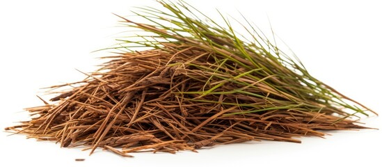 A collection of dried pine needles forming a pile on a clean white background. The heap of coniferous tree needles is neatly stacked, creating an organized and structured arrangement.