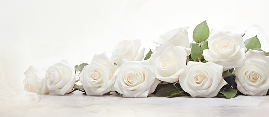 Obraz na płótnie Canvas A collection of pristine white roses elegantly arranged on a clean white background, creating a sophisticated and minimalist look. Soft focus adds a touch of delicacy to the bouquet.
