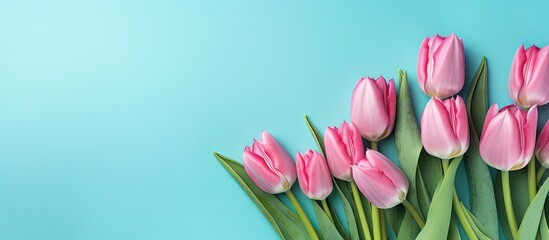 A bunch of pink tulips arranged in a bouquet on a vibrant blue background, creating a cheerful and colorful display. 