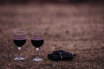 Two glasses of wine served in nature on a hill at dusk. The romantic evening scene while waiting for the moonrise