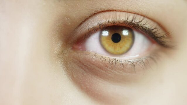 Close up shot of macro eye opening and blinking. Human eye in Macro look of the human eye.