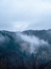 Misty Carpathian Mountains fog clouds landscape. Foggy atmospheric morning green fir trees Scenic forest rainy day. Calm tranquil Carpathians summit wood, Ukraine Europe travel. Eco Tourism Recreation