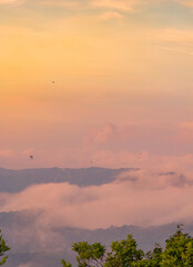 The stunning view from a tourist's standpoint as they go down a hill on a foggy trail with a hill and a background of a golden sky in Forest Park, Thailand. Rainforest. Bird's eye view. Aerial view.	
