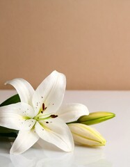 Cross with White Lilies - Background for Christianity - Symbolism for Mourning or Funeral - Crucifixion of Jesus Christ
