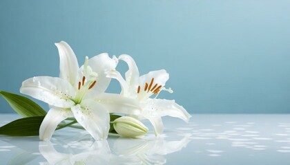 Cross with White Lilies - Background for Christianity - Symbolism for Mourning or Funeral - Crucifixion of Jesus Christ