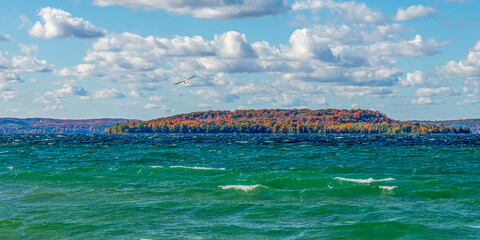A gull soars over waves and whitecaps with Power Island in Grand Traverse Bay, Michigan in the background