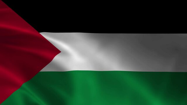 Dynamic video footage featuring the flag of Palestine fluttering in the wind. Ideal for presentations, documentaries or web content.