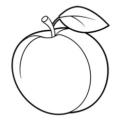 Vector of apricot illustration coloring page for kids