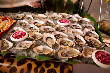 Oysters on ice at buffet