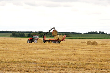 Agriculture. A tractor with a manipulator loads straw bales onto a trailer.
