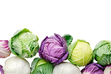 Isolated different kind of fresh cabbages on transparent background. Vegetables backdrop with natural farm cabbages. Concept of healthy food, vegan or vegetarian diet and harvest
