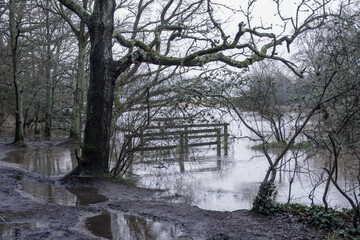flooded bridge and footpath in the River Hamble country park Hampshire England at high tide