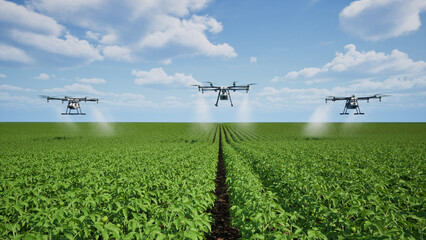 Agriculture drone fly to sprayed fertilizer on the tomato fields