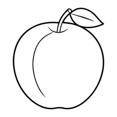 Vector of plum illustration coloring page for kids