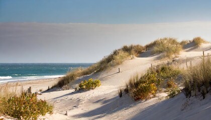 Fototapeta na wymiar Hot sand dunes in cold blue seas