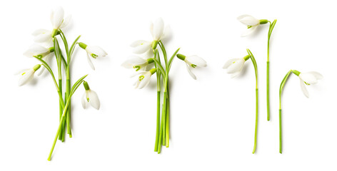 snowdrops flowers, single and in bunches, isolated over a transparent background, cut-out seasonal spring or end of winter design elements with subtle shadows, flat lay / top view, PNG - 745997300