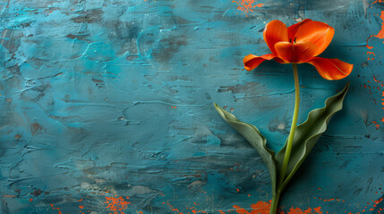 Fototapeta na wymiar A vibrant orange tulip against a contrasting grungy, blue painted wall.