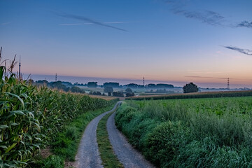 This tranquil image portrays the delicate transition from night to day as twilight graces a rural...