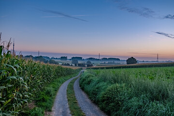 This tranquil image portrays the delicate transition from night to day as twilight graces a rural...