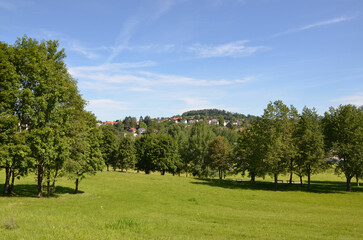 Fototapeta na wymiar Sommertag im Kurpark von Grafenau - Bayern