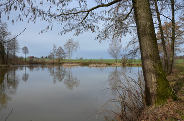 Fototapeta na wymiar Wasser - Kleiner Teich - in Naturlandschaft im zeitigen Frühjahr