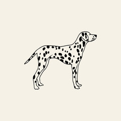 Line art Dalmatian dog illustration