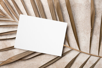 Blank paper invitation or greeting card mockup with palm tree leaf, white card with copy space