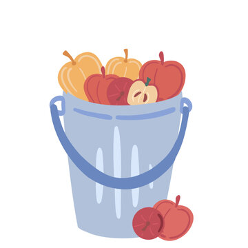 Apples In Blue Bucket Flat Design In White Background