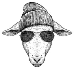 Vintage engraving isolated lamb glasses dressed fashion set illustration ram ink sketch. Farm animal sheep background mutton silhouette sunglasses hipster hat art. Black and white hand drawn image  © Turaev