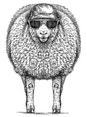 Vintage engraving isolated lamb glasses dressed fashion set illustration ram ink sketch. Farm animal sheep background mutton silhouette sunglasses hipster hat art. Black and white hand drawn image	