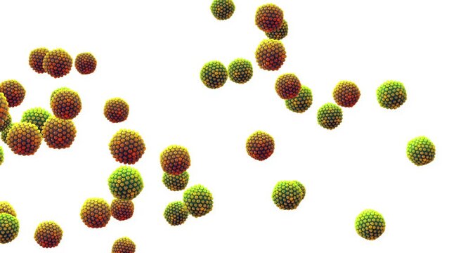 Herpes simplex viruses ( HSV ) isolated on white animation. Cold sores are caused by Herpes virus infection.	

