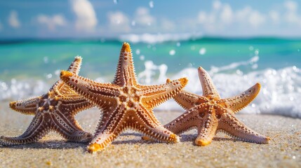 Fototapeta na wymiar Immerse yourself in a tropical paradise-starfish, sandy beach, and ocean, captured in stunning detail with shallow depth of field