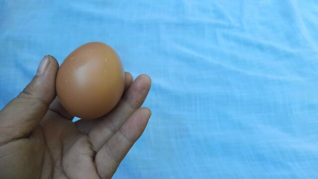 A man's hand holds a European chicken egg on a white background. Protein food from poultry eggs