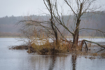 Naklejka na ściany i meble FLOOD - Flooded river valley and meadows after the rains 