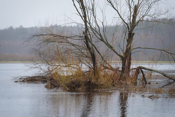 FLOOD - Flooded river valley and meadows after the rains

