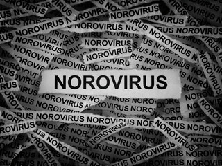 Strips of newspaper with the words Norovirus typed on them. Black and white. Close up.