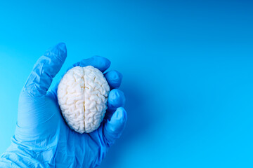 Hand of man in medical glove squeezing brain