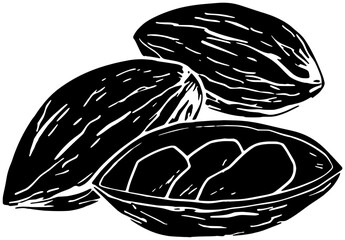 almond illustration food silhouette nut logo healthy icon organic outline vegetarian natural nature kernel leaf raw group macro seed shape of nature kernel for vector graphic background