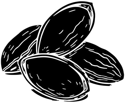 recommend clip art: almond illustration food silhouette nut logo healthy icon organic outline vegetarian natural nature kernel leaf raw group macro seed shape of nature kernel for vector graphic background