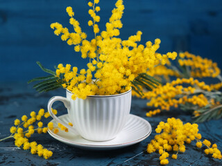 bouquet of yellow mimosas in a white ceramic cup on a blue background. Spring composition
