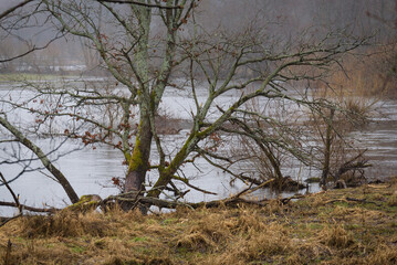 FLOOD - Flooded river valley and meadows after the rains