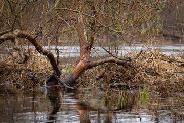 FLOOD - Flooded river valley and meadows after the rains