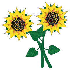 Two sunflowers hug each other, pressing their stems and green leaves. The plant has a yellow flower containing black seeds.