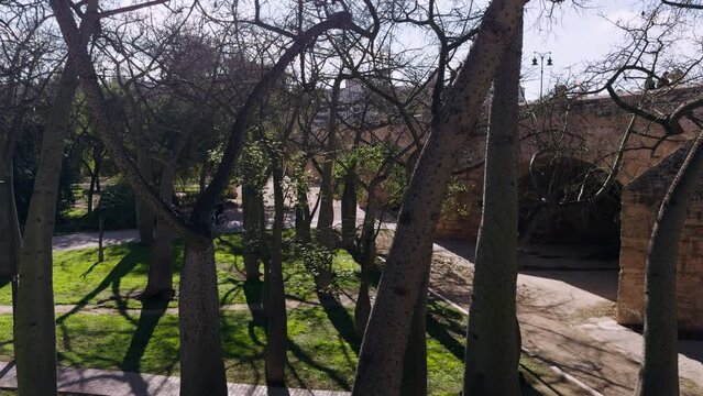 Walk through the green Turia Park in Valencia. A sunny warm day in mid-February in Spain. A popular place for active recreation.