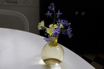 first spring flowers into glass vase on white house table