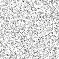Delicate jasmine floral seamless pattern for textile or wallpaper, scrapbook paper. Black and white vector background with hand drawn plants elements for coloring page