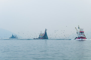 Fishing boats hunting in foggy weather.