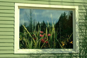Flowers in a window of a house in Londonderry, Vermont