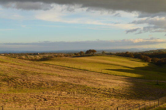 Pasture Landscape